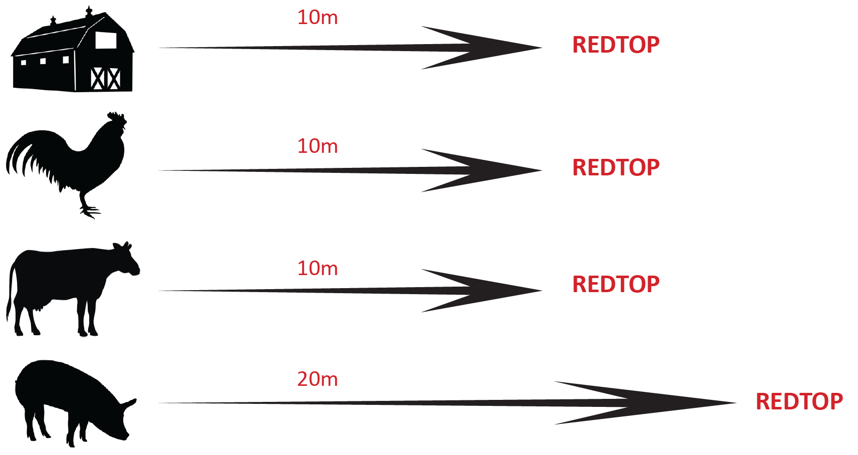 Redtops 4