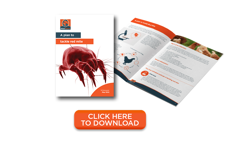 A plan to tackle red mite