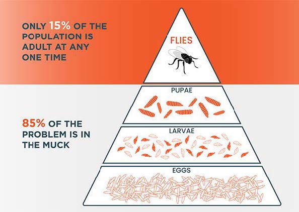 Fly control 3