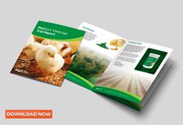 ProStart™ Chick Gel Trial Report