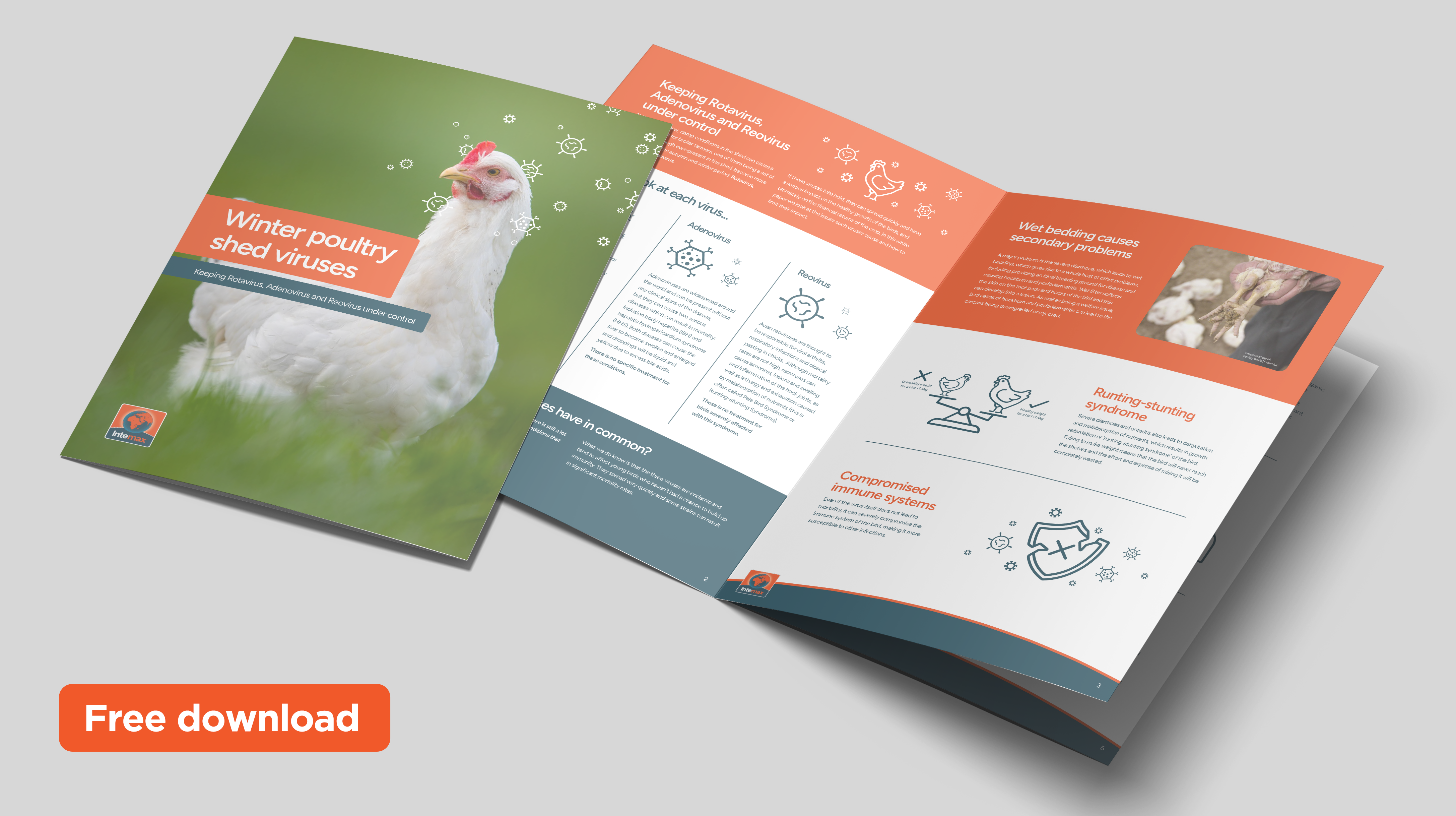 Winter poultry shed viruses