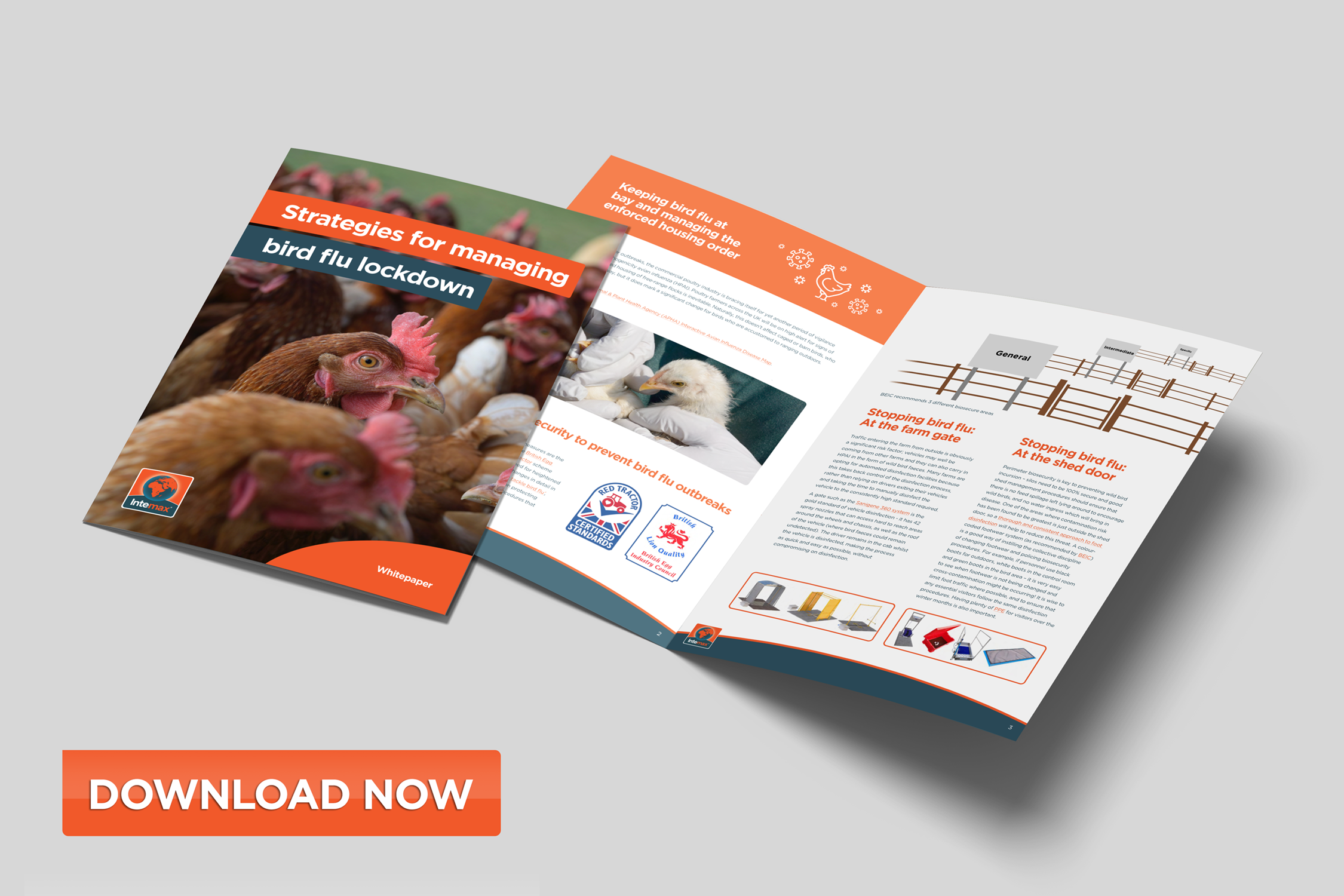 Strategies for managing bird flu lockdown