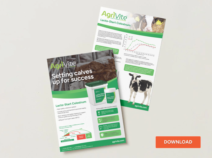 Setting calves up for success: High-quality colostrum for an optimal start