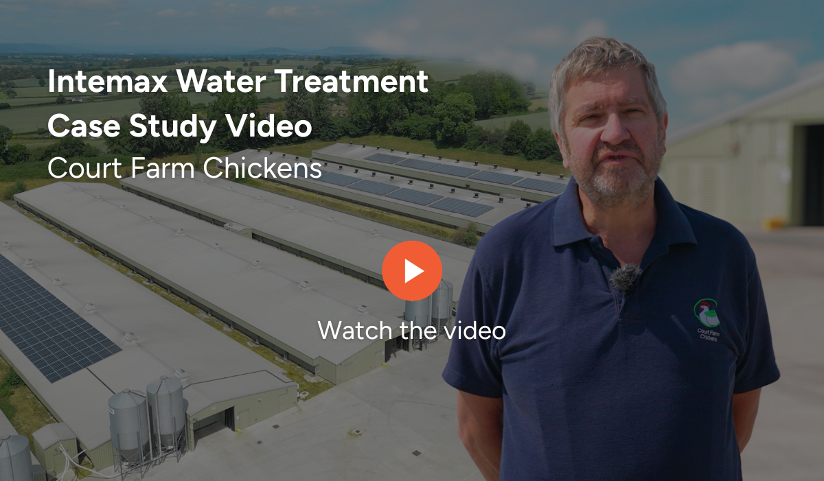 Court Farm Case Study_Section 1