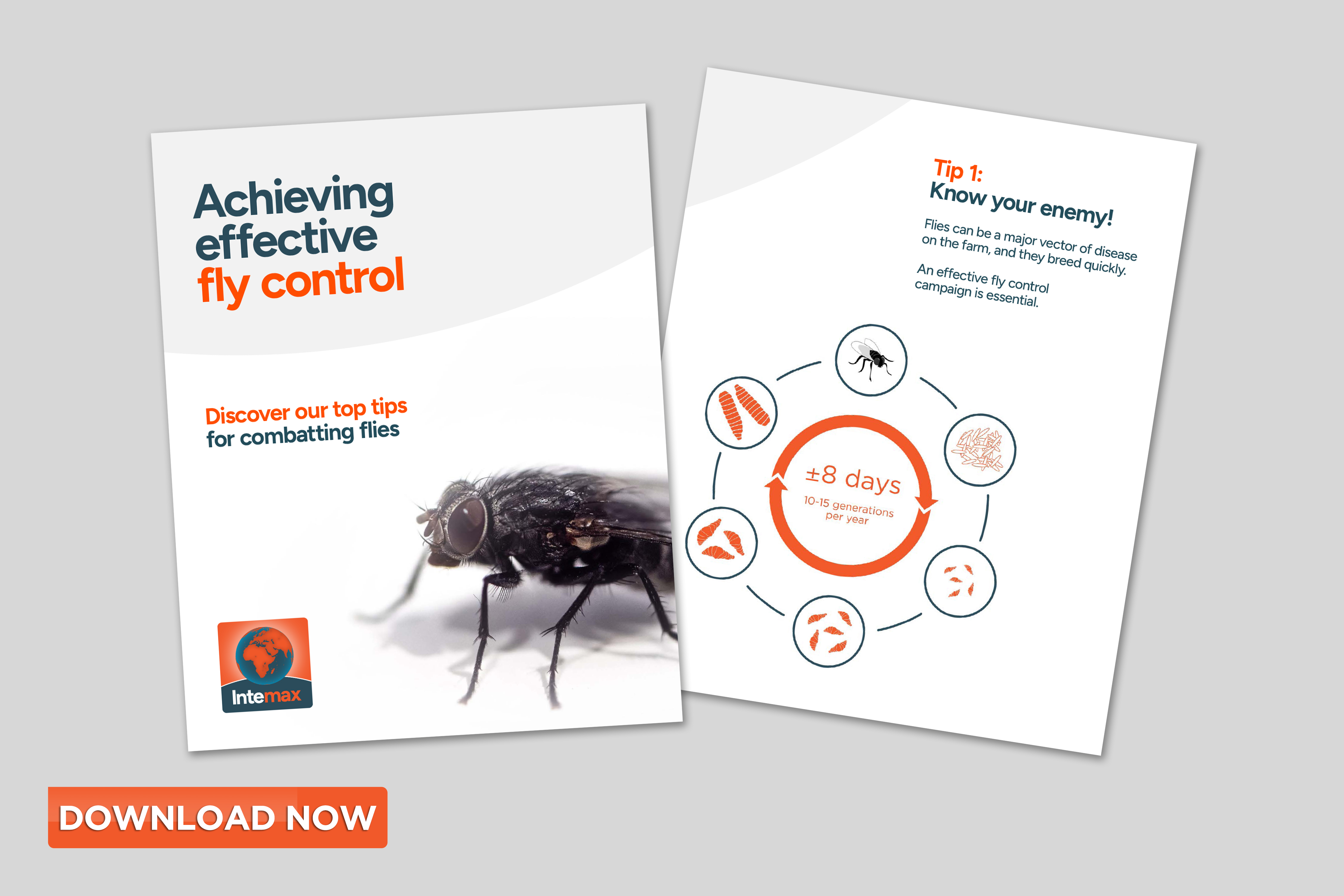 Top tips for achieving effective fly control