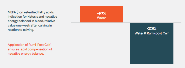 Rumi-Post Calf Whitepaper_Section 6