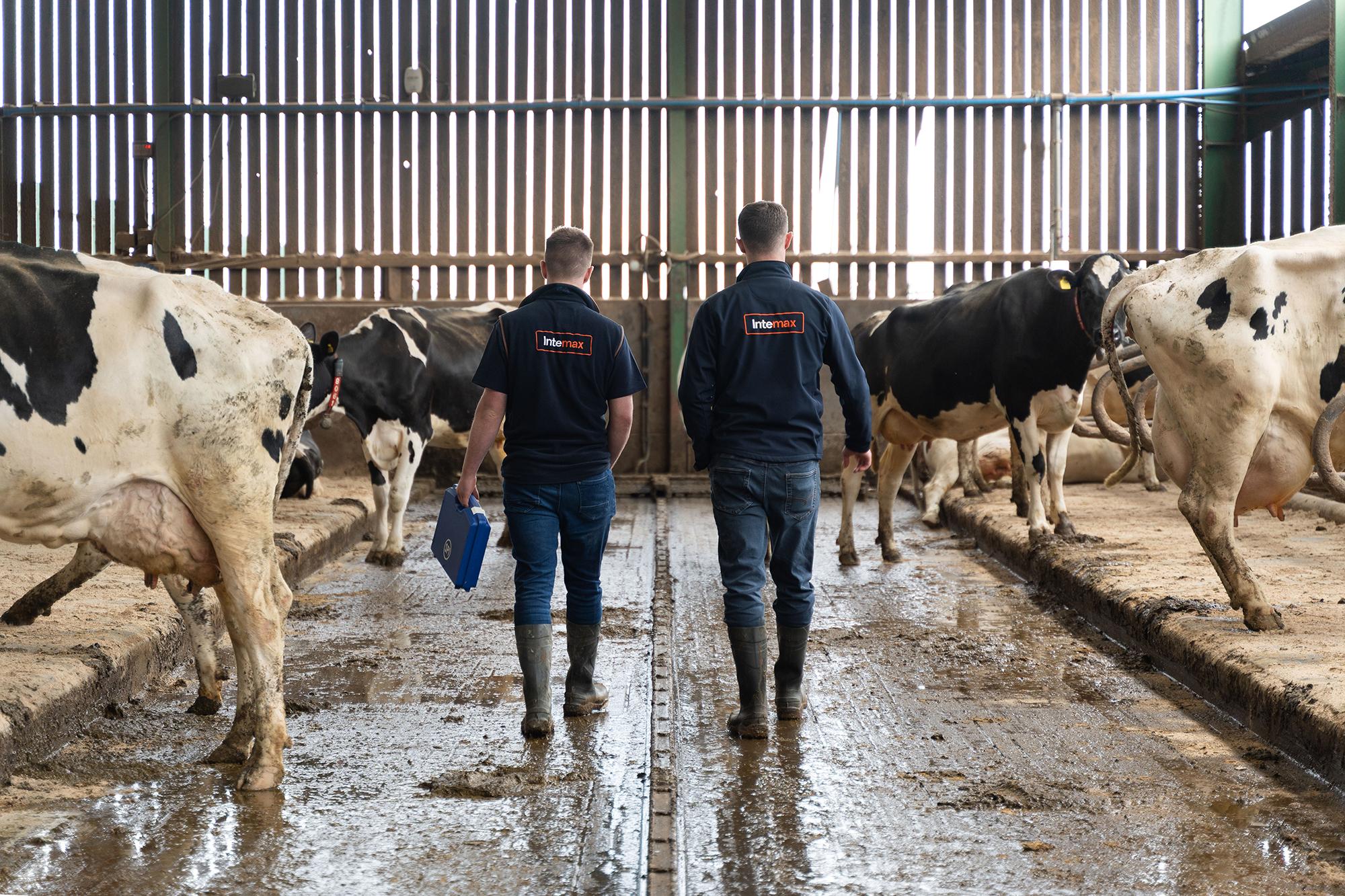 Why Water Treatment Could Be the Missing Link in Your Dairy Herd's Performance_Section5