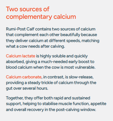 Rumi-Post Calf Whitepaper_Section 8