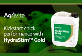 Kickstart chick performance with Agrivite HydraStim™ Gold