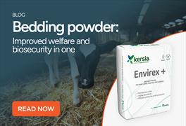 Bedding powder: improved welfare and biosecurity in one product
