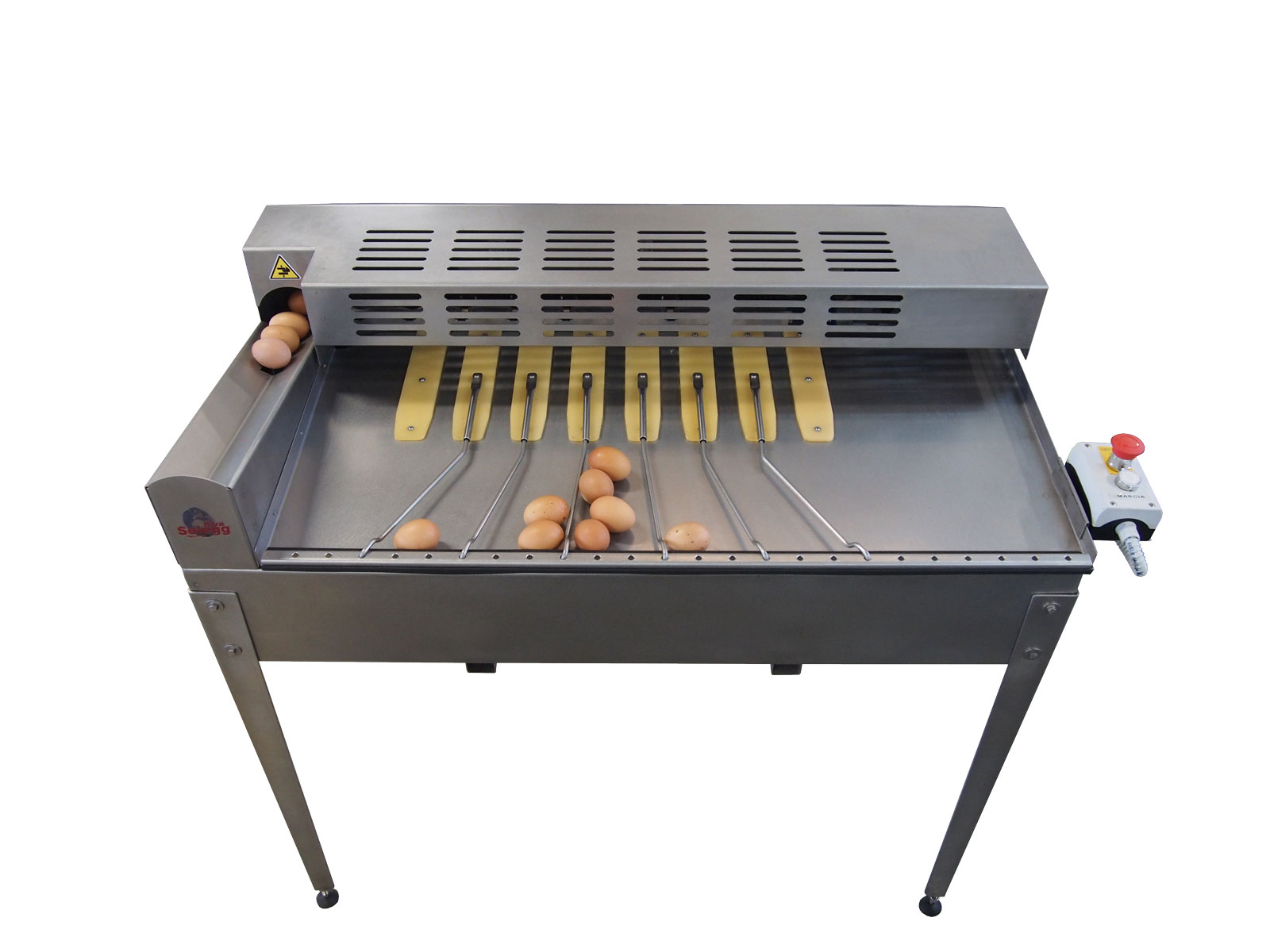 Riva-Selegg Egg Grader S21