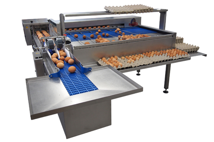 Riva-Selegg Egg Grader S41