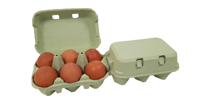 ETON Flat Top 2x6 Egg Box, Green, 130/260 (130 Doz)