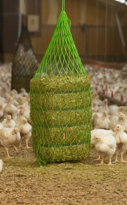Lucerne Feeding Net