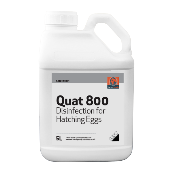 MST Quat 800 Egg Wash 5L