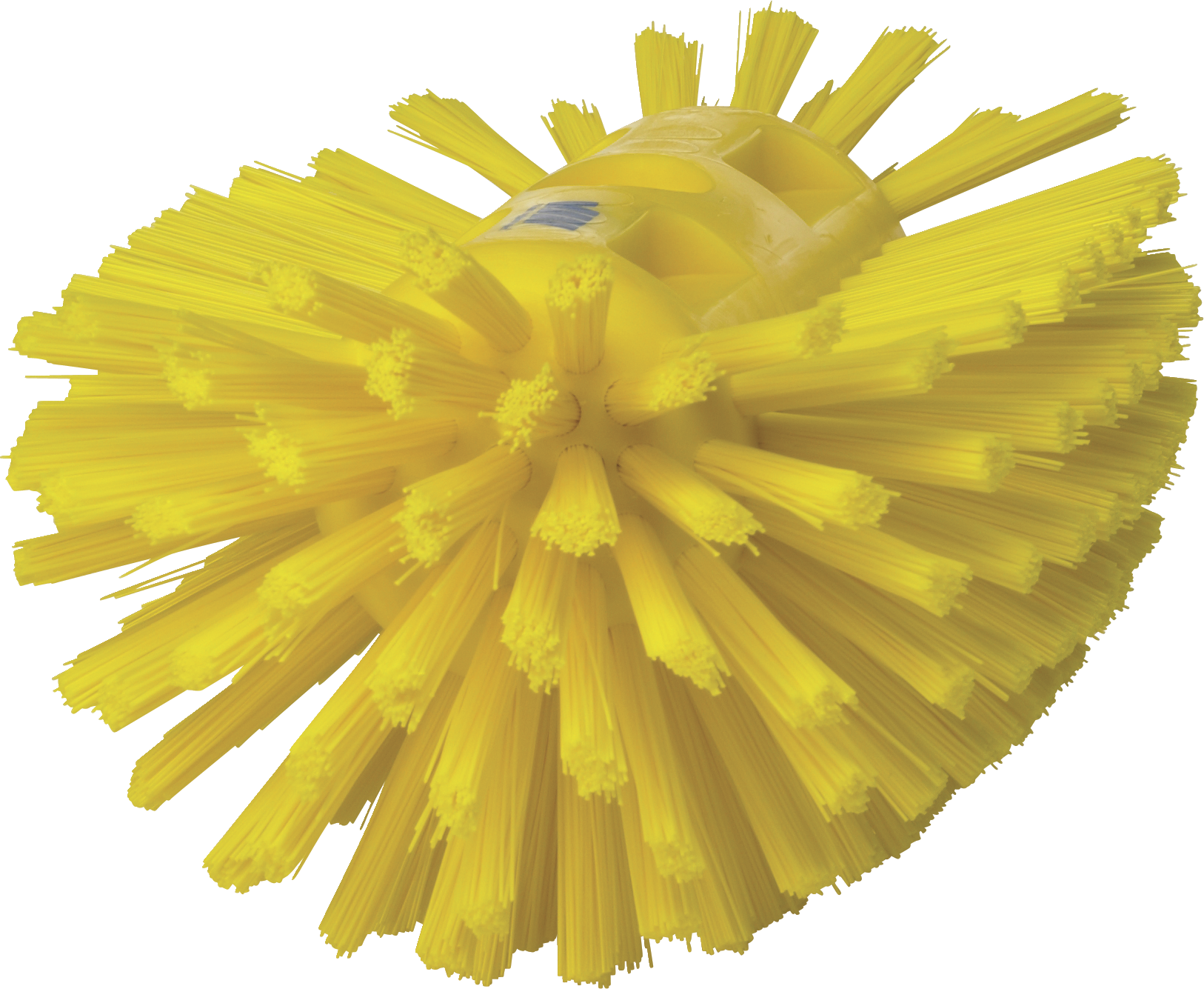 202832/Y 1