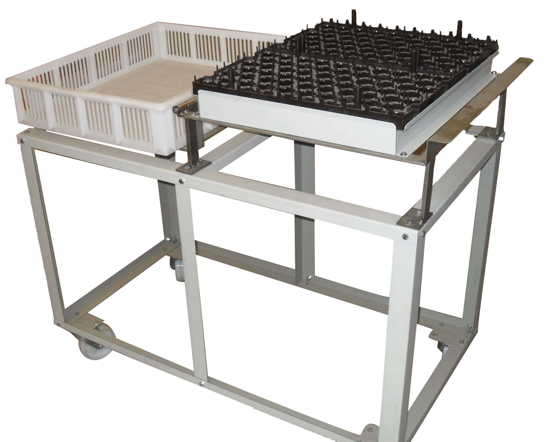 Egg Transfer / Candling Table, to suit Chicktec / Fiem / Maselles plastic egg tray