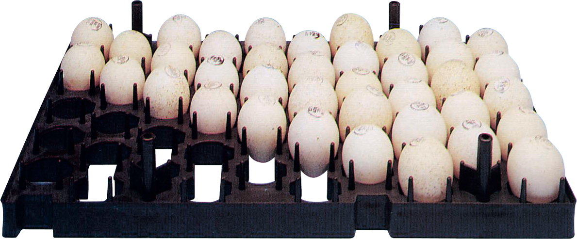 Chicktec Egg Setter Tray - 50 Turkey/Duck Egg