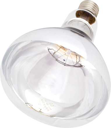 Intelec® Hard Glass Infra-Red Bulb, Clear Glass, 250 Watt