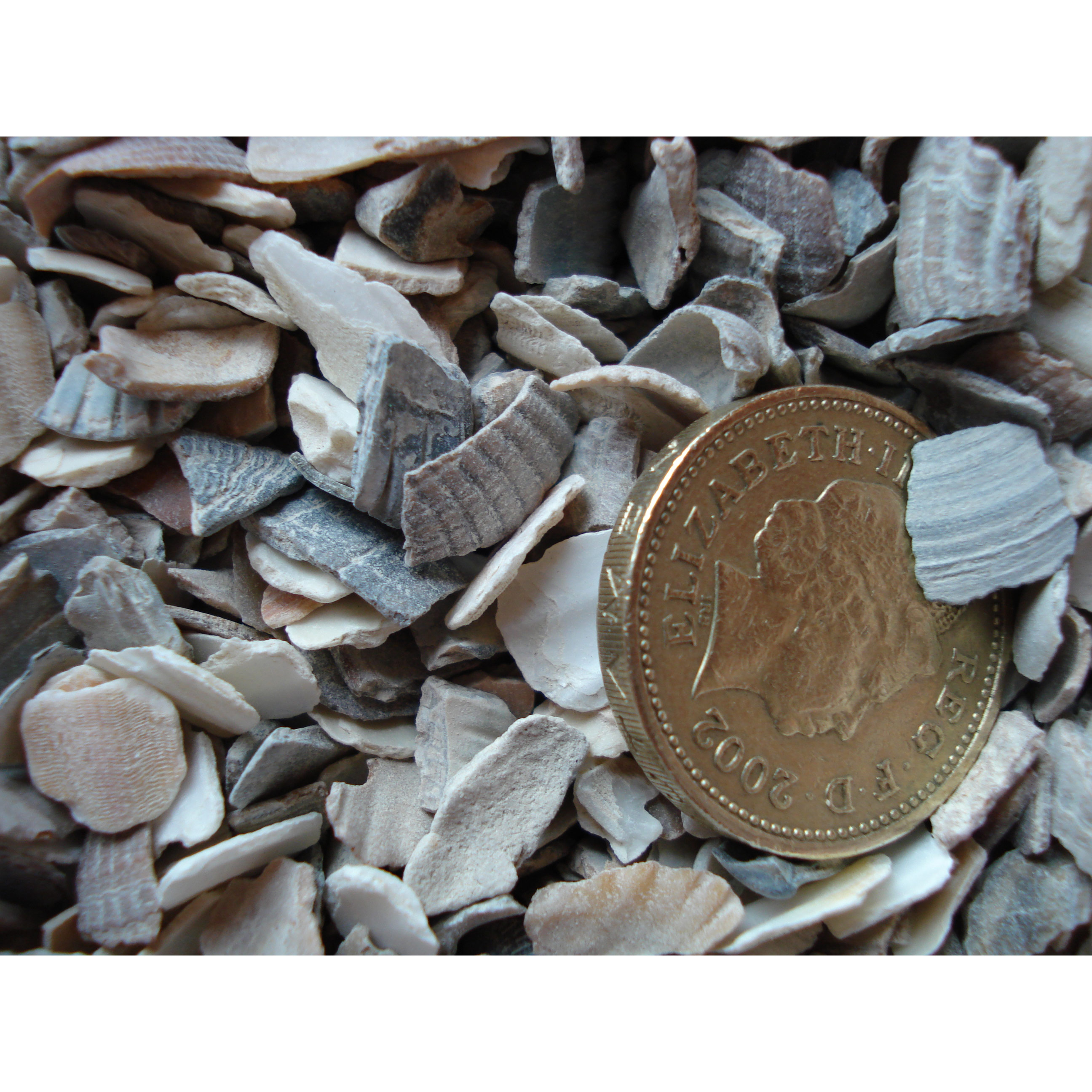 Oystershell Grit, Hen Size (4 - 7mm) - 25kg