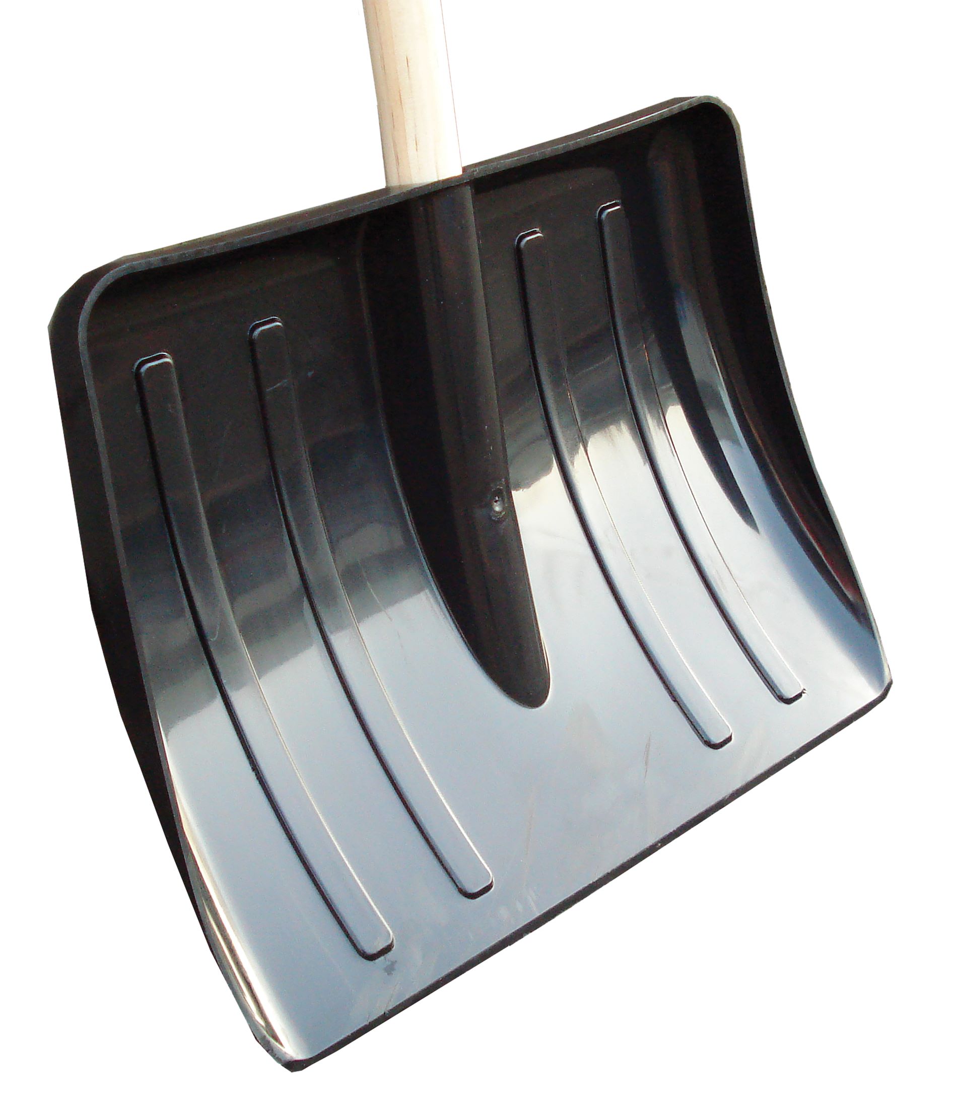 ETON Black Medium Snow Scoop with Pole