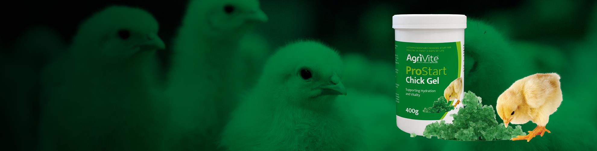 Chick Gel Banner