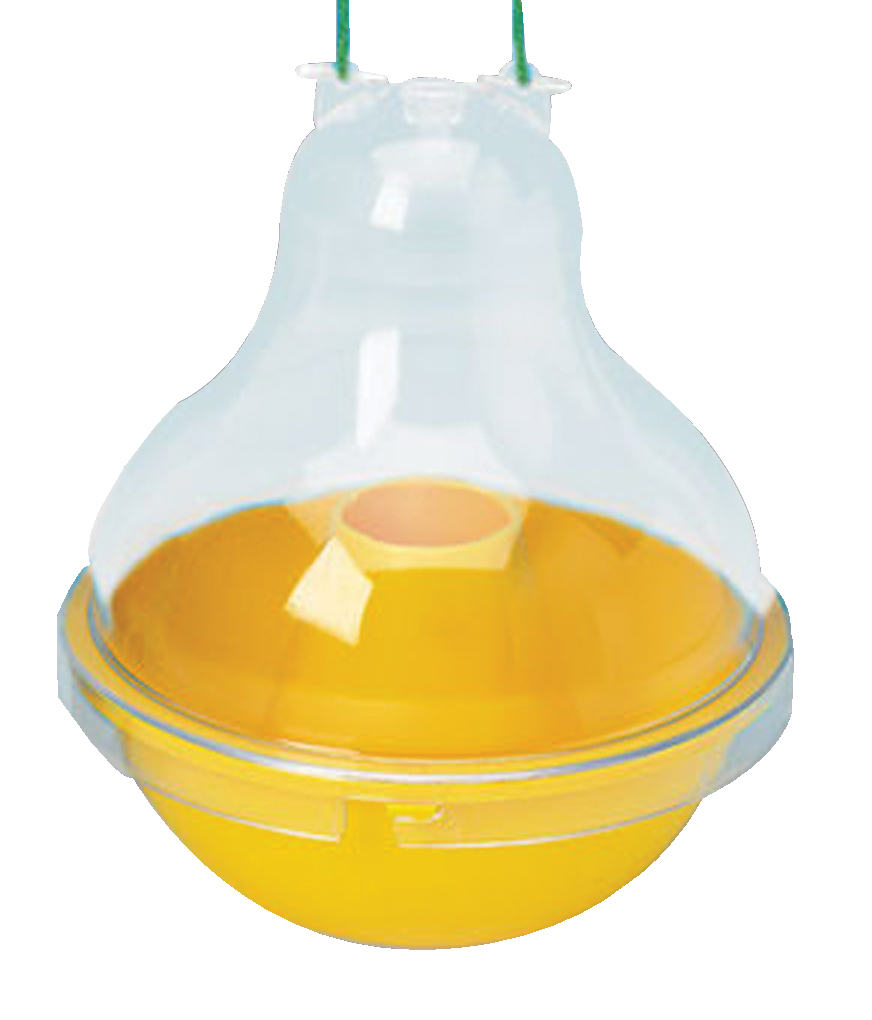 Dome Wasp Trap